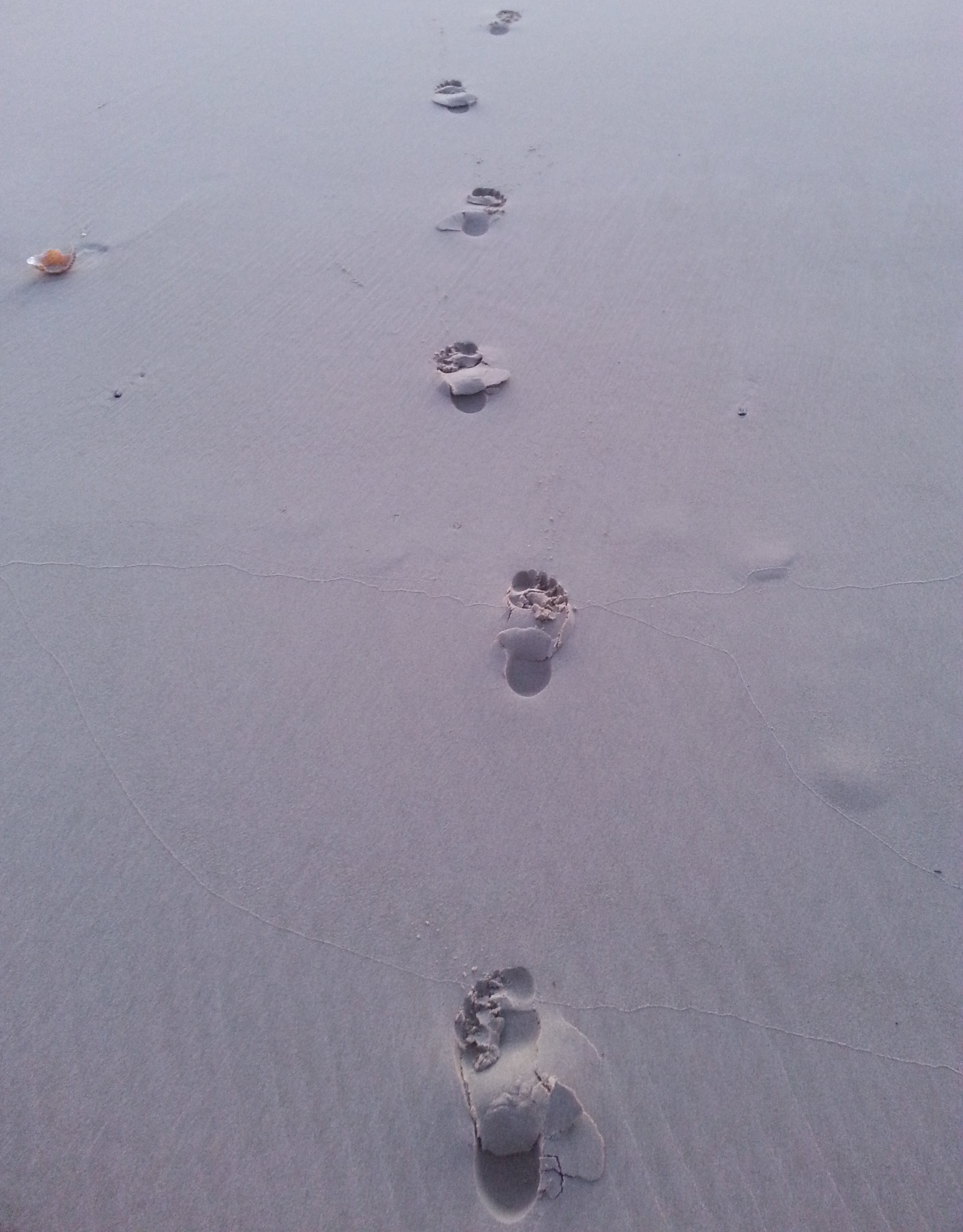 Footsteps